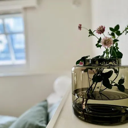 Central, Bright, And Spacious Retreat