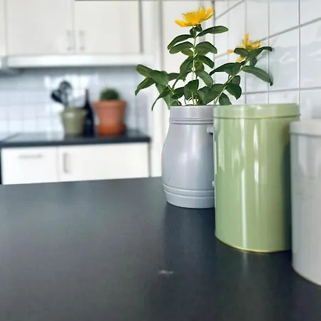 Central, Bright, And Spacious Retreat Appartamento Stavanger