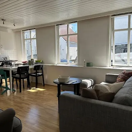 Central, Bright, And Spacious Retreat Apartment Stavanger
